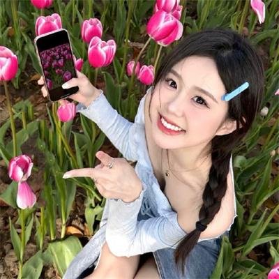 谍海钢面人